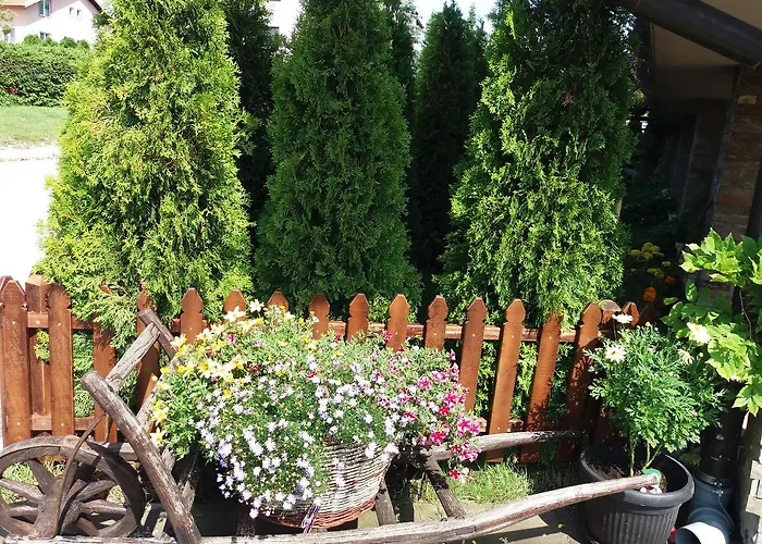 Апартаменты Centar! Masa